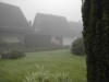 fog anyone? sandra's parents front yard in Hemmerden